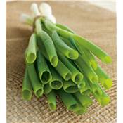CIBOULE - LOT DE 2 PLANTES