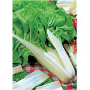 POIREE BLONDE 2 A CARDE BLANCHE - 5 G