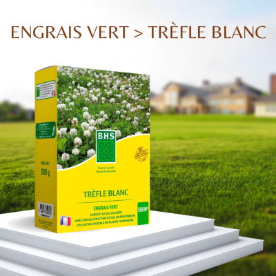 TREFLE BLANC - BOITE DE 500 G