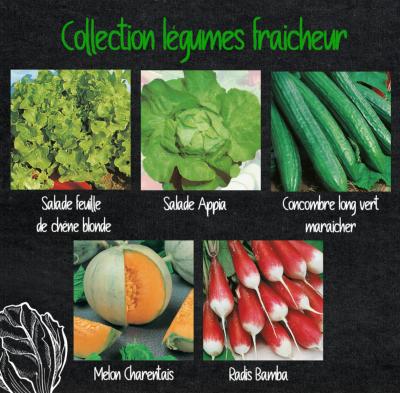 COLLECTION LÉGUMES FRAICHEUR - 5 VARIÉTÉS