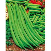 HARICOT NAIN PRIMEL - 150 G
