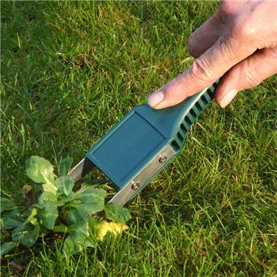 ARRACHAGE MAUVAISES HERBES - LA PIECE
