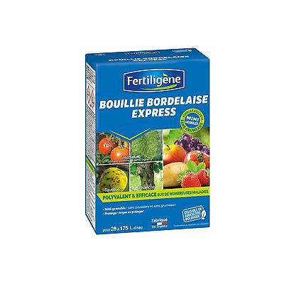 BOUILLIE BORDELAISE EXPRESS 700 G