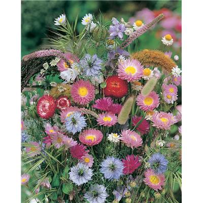 MELANGE BOUQUETS SECS - 2 G