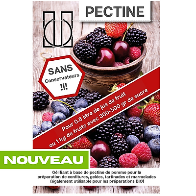 PECTINE - LE SACHET DE 20 G