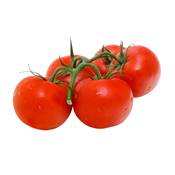 TOMATE GRAPPE PREMIO - 3 GODETS