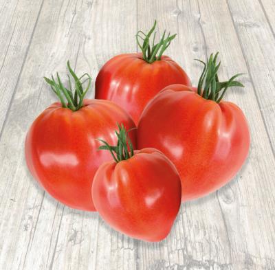 TOMATE DIAMANDIA F1 - 3 GODETS