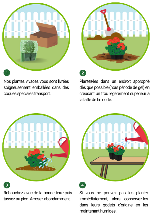 9 conseils pour semer des graines dans votre jardin