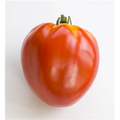 TOMATE CUOR DI BUE - 3 GODETS