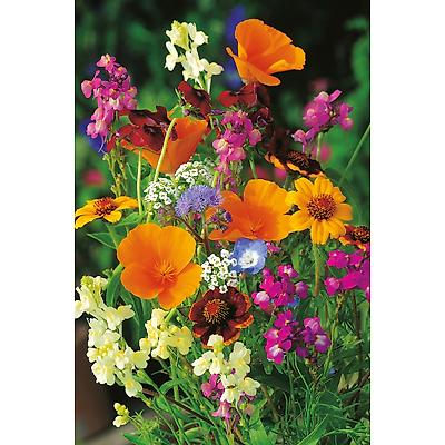 FLEURS COMESTIBLES - 10 G