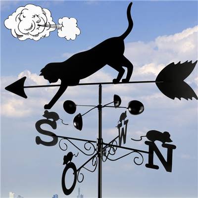 GIROUETTE CHAT - METEO