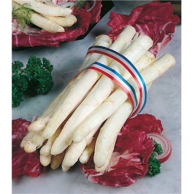 ASPERGE SUPER ARGENTEUIL - 10 GRIFFES