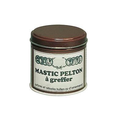 MASTIC A GREFFER - 200 G