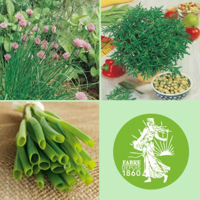 OFFRE AROMATIQUES - 1 CIBOULETTE + 1 SARRIETTE + 1 CIBOULE