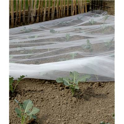 BIOCONTROL FILET ANTI INSECTES - 2.20 X 10 M