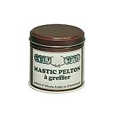 MASTIC A GREFFER - 200 G