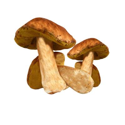 CEPES SUPER EXTRA - BOÎTE DE 225 G