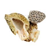 MORILLES EXTRA - BOTE DE 25 G