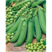 POIS EXZELLENZ - 750 G