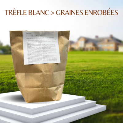 TREFLE BLANC - BOITE DE 500 G