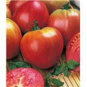 TOMATE CUOR DI BUE - 0.5 G