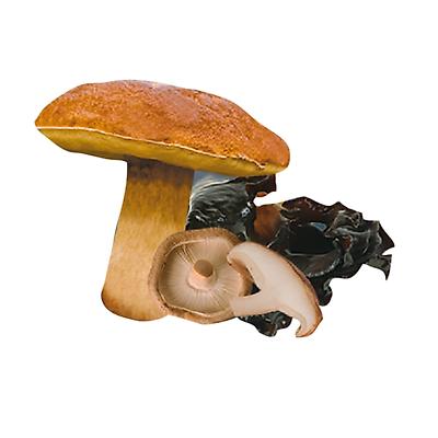 GARNITURE  FORESTIERE - BOÎTE DE 180 G