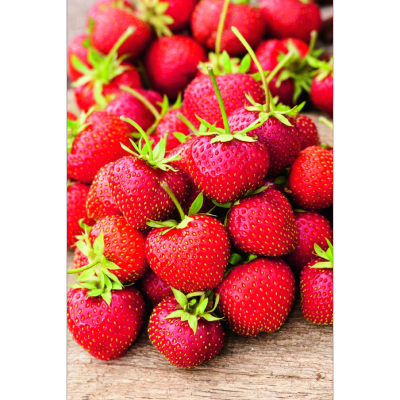 FRAISIERS CHARLOTTE - LA BOTTE DE 20 PLANTS