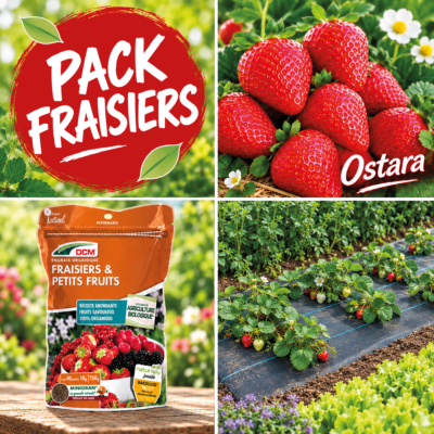 PACK FRAISIER OSTARA + ENGRAIS + FRESASOL