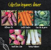 COLLECTION LGUMES D'HIVER - 5 VARITS