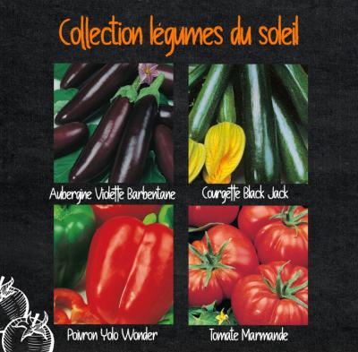 COLLECTION LÉGUMES DU SOLEIL - 4 VARIÉTÉS