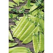 POIS CAROUBY DE MAUSSANE - 150 G