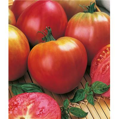 TOMATE CUOR DI BUE - 0.5 G