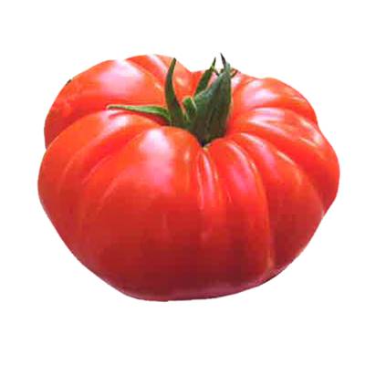 TOMATE BUFFALO STEAK HF1 - 15 SEMENCES