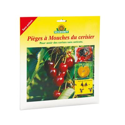 PIÉGES À MOUCHES DES CERISES