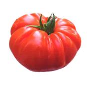 TOMATE BUFFALO STEAK HF1 - 15 SEMENCES