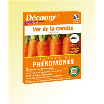 PHEROMONE - VER DE LA CAROTTE