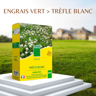 TREFLE BLANC BIO - BOITE DE 500 G