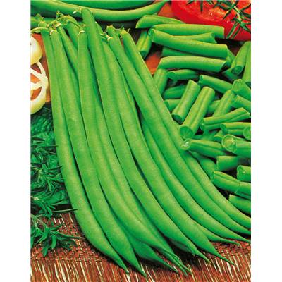 HARICOT NAIN AIGUILLON - 150 G