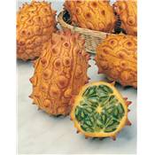 KIWANO - 0.5 G