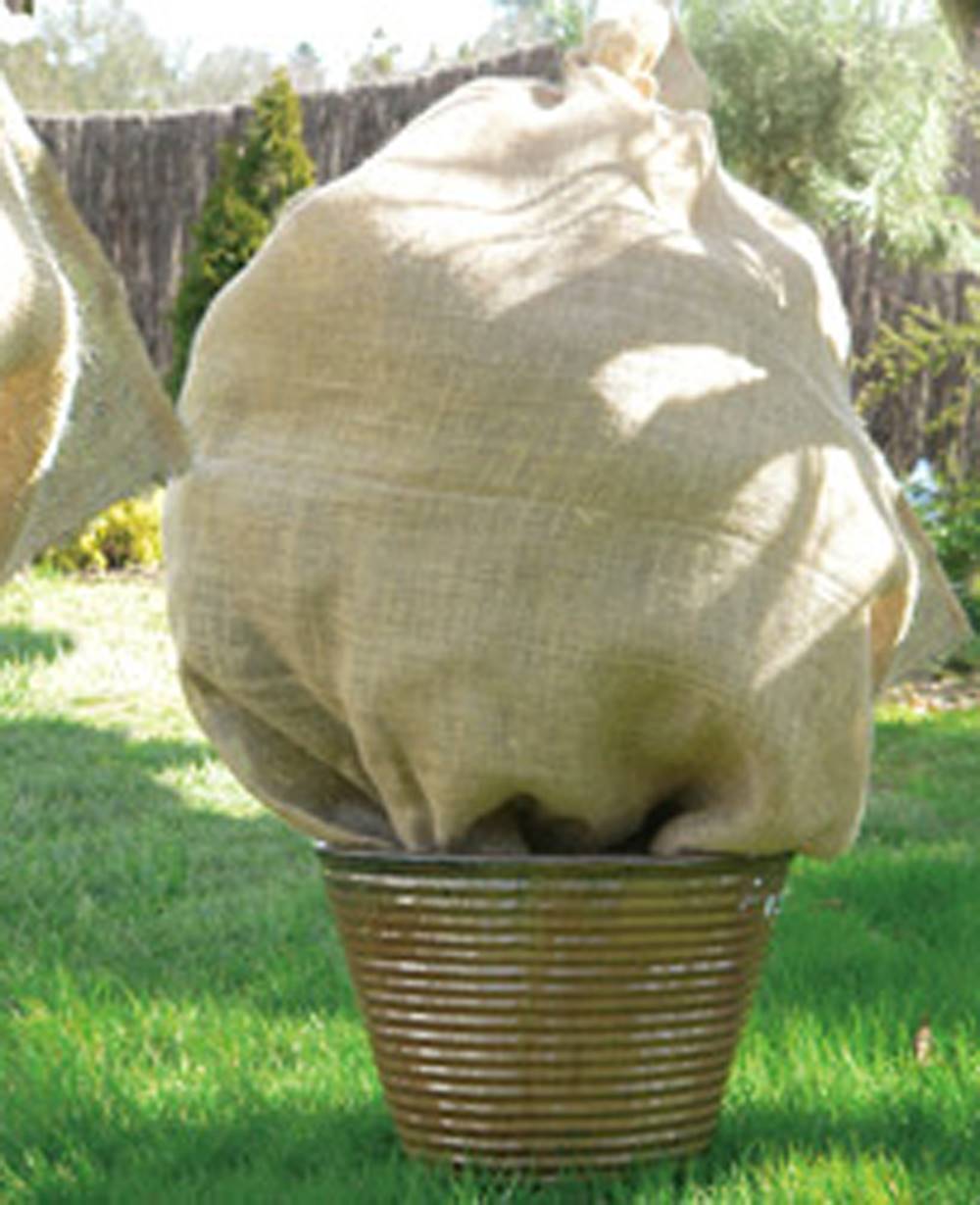 Lot de 3 sacs plantation. Toile de jute