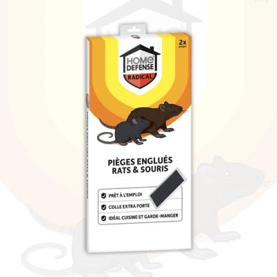 PIEGES A GLU RATS ET SOURIS - 2 PIEGES