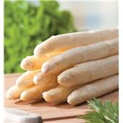 ASPERGE GROLIM HF1 - 10 GRIFFES