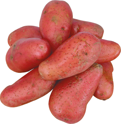 POMME DE TERRE ROSABELLE - 25 KG
