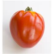 TOMATE CUOR DI BUE - 3 GODETS