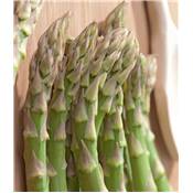 ASPERGE VOLTAIRE - 10 GRIFFES