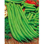 HARICOT NAIN AIGUILLON - 300 G