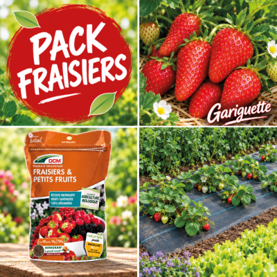 PACK FRAISIER GARIGUETTE + ENGRAIS + FRESASOL