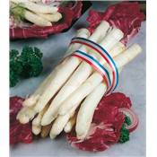 ASPERGE SUPER ARGENTEUIL - 10 GRIFFES