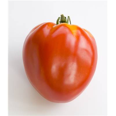 TOMATE CUOR DI BUE BIO - 0.2 G