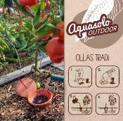 OLLAS TRADI - 1.5 L